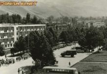 Ҳаёти ҷамъиятию сиёсӣ дар солҳои 1950-1980