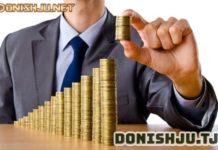 Вазифаҳои молия дар иқтисоди бозорӣ