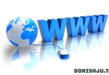 Маълумот дар бораи World Wide Web (WWW)